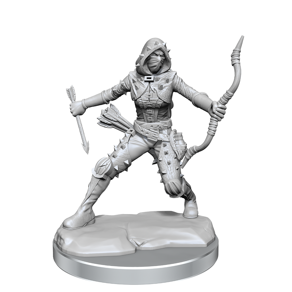 D&D Frameworks: Human Rogue Female (WV1)