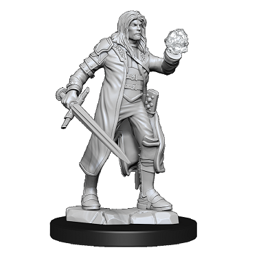 D&D Minis: Multiclass Fighter + Wizard