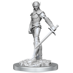 Wave 18 Nolzurs Minis: Drow Fighters