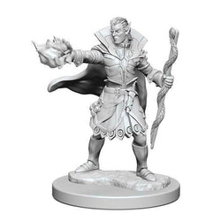 Pathfinder Minis: Elf Sorcerer (Male) (Unpainted / WV1)