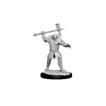 D&D Minis: Dragonborn Paladin (Male)