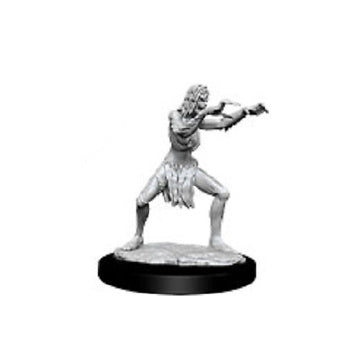 D&D Minis: Sea Hag & Bheur Hag