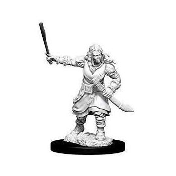 D&D Minis: Bandits (Unpainted / WV8)