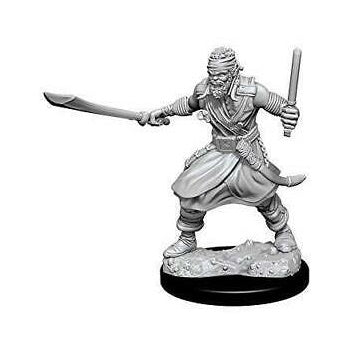 D&D Minis: Bandits (Unpainted / WV8)