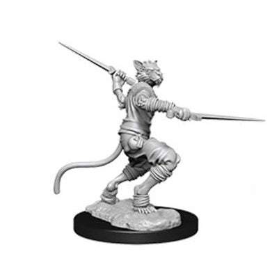 D&D Minis: Tabaxi Rogue (Male)