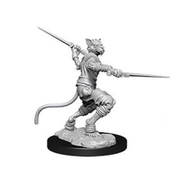 Tabaxi Rogue (Male)
