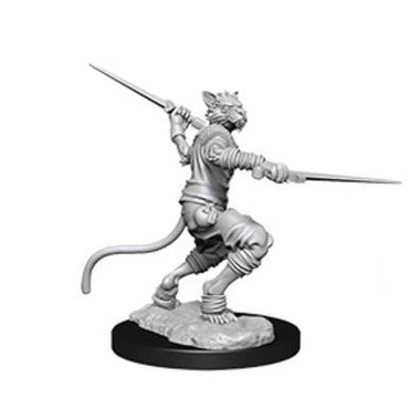 Tabaxi Rogue (Female)
