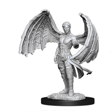 D&D Minis: Succubus & Incubus