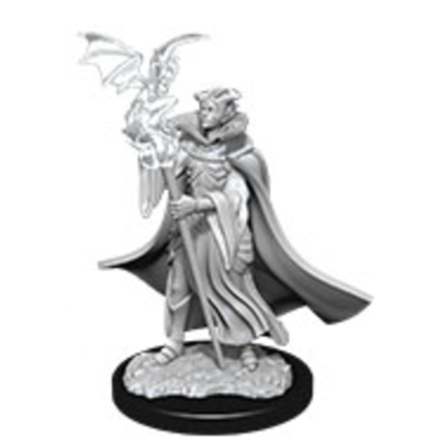 Pathfinder Minis: Cultist & Devil