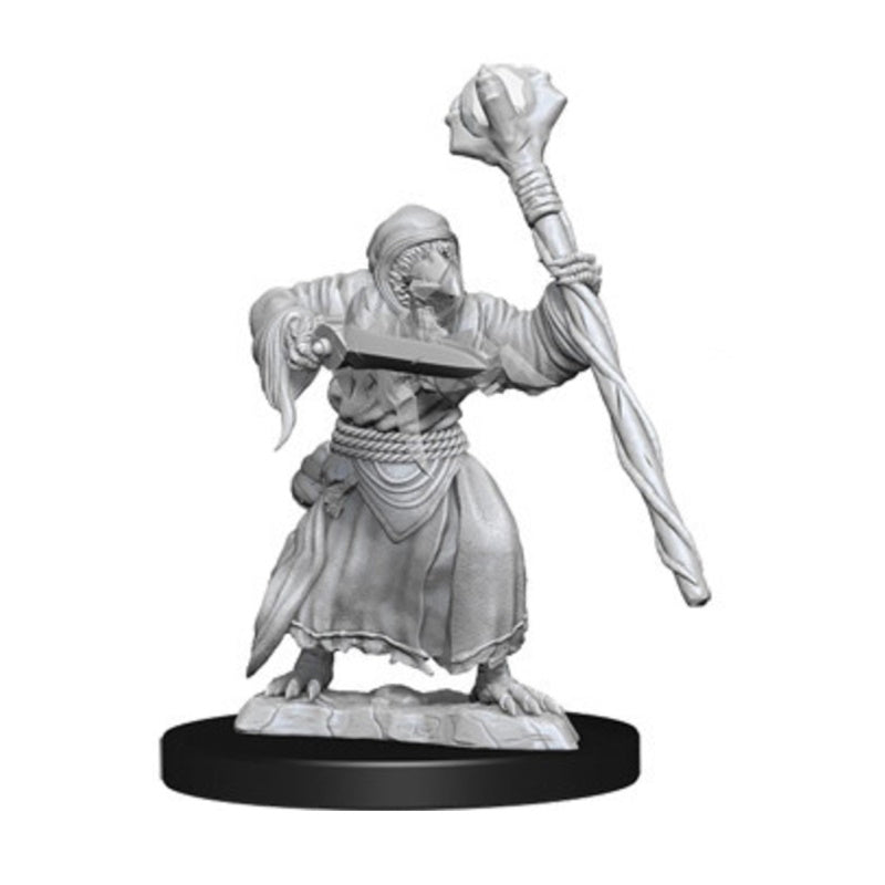 D&D Minis: Kenku Adventurers