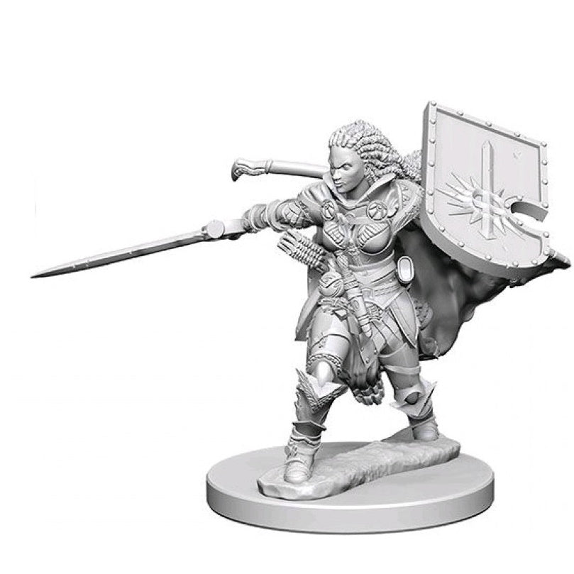 Pathfinder Minis: Human Paladin (Female) (Unpainted / WV1)