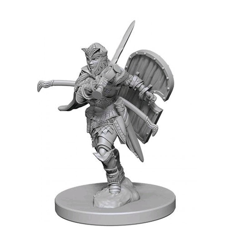Pathfinder Minis: Human Paladin (Female) (Unpainted / WV1)